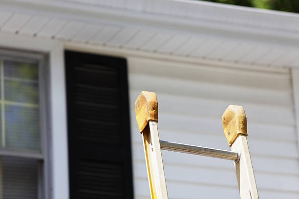 Best Hoarding Cleanup  in Celoron, NY